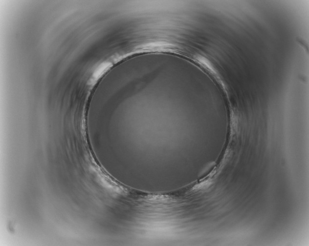 X0000100891336200807011148