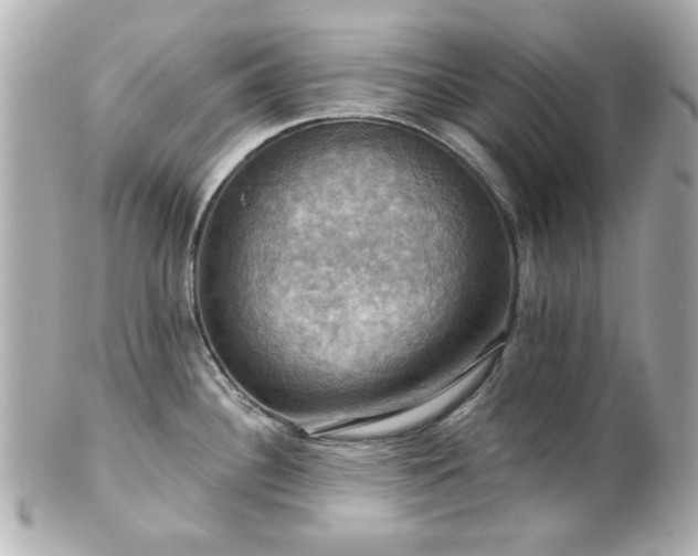 X0000100891340200807011148