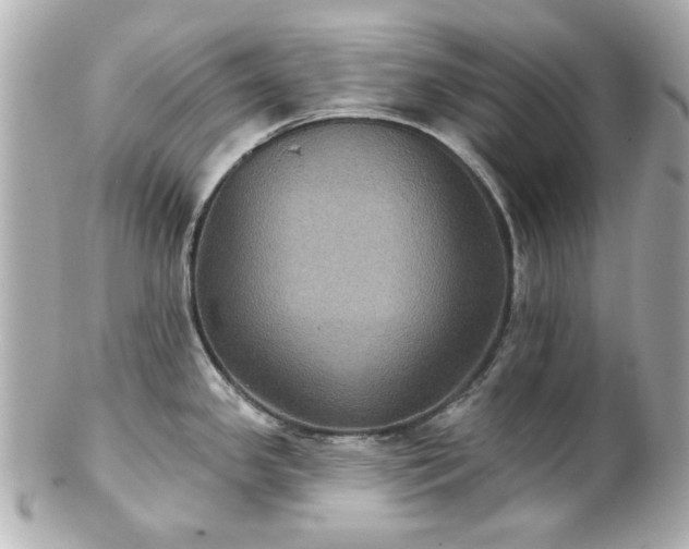 X0000100891341200807011148
