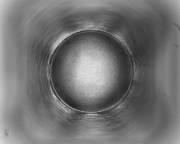 X0000100891342200807011148