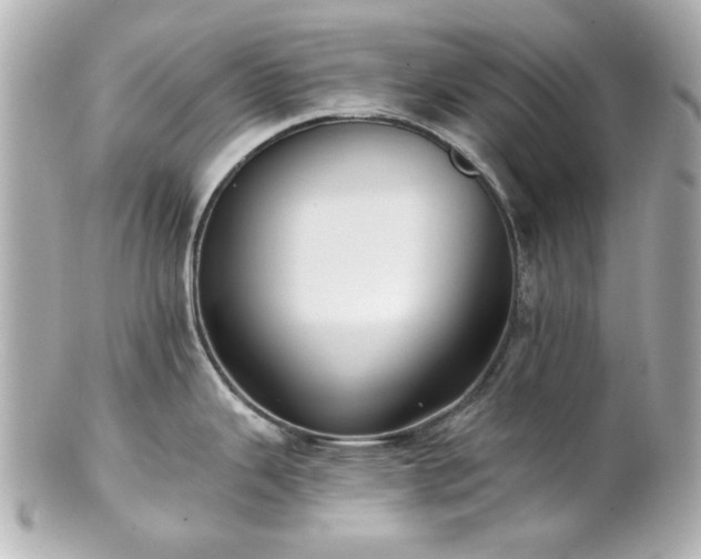 X0000100891343200807011148