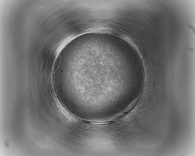 X0000100891344200807011148