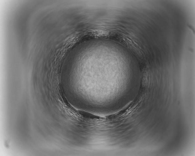 X0000100891345200807011147