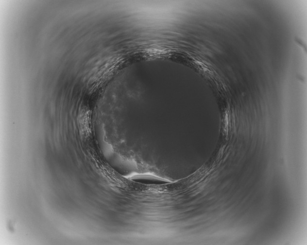 X0000100891346200807011147