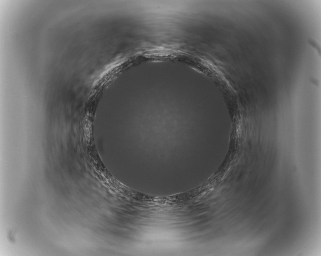 X0000100891350200807011147