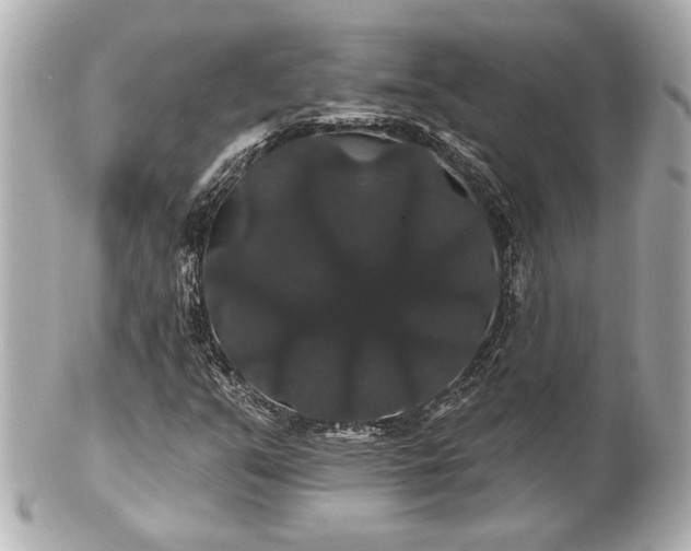 X0000100891351200807011147