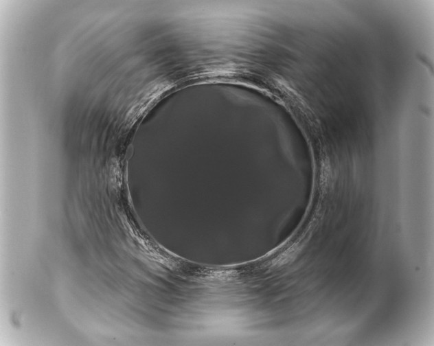 X0000100891353200807011147