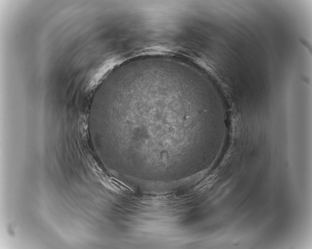 X0000100891355200807011147
