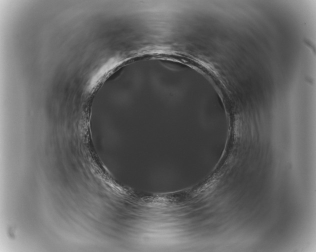 X0000100891359200807011147