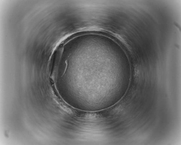 X0000100891364200807011147