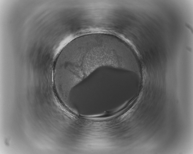 X0000100891365200807011147