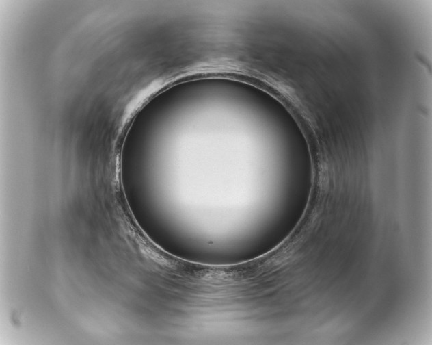 X0000100891366200807011147
