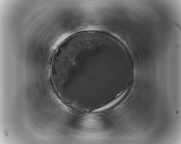 X0000100891367200807011147