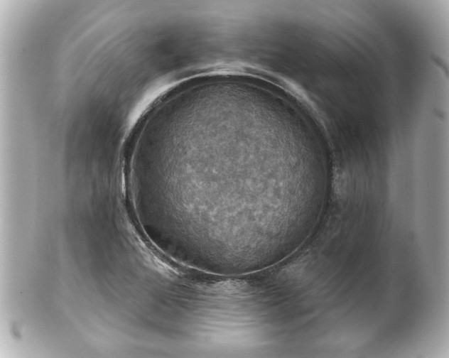 X0000100891368200807011147