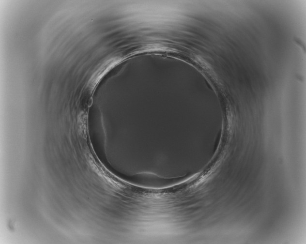 X0000100891369200807011147