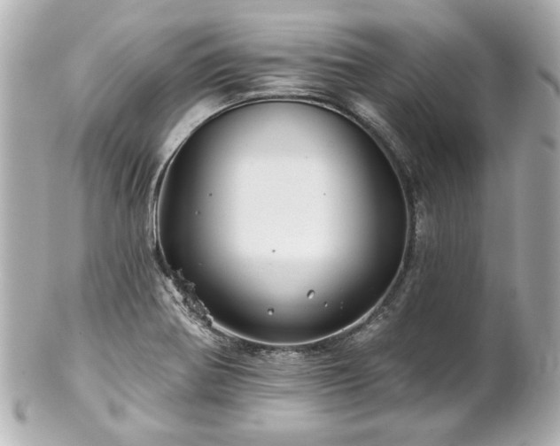 X0000100891370200807011147