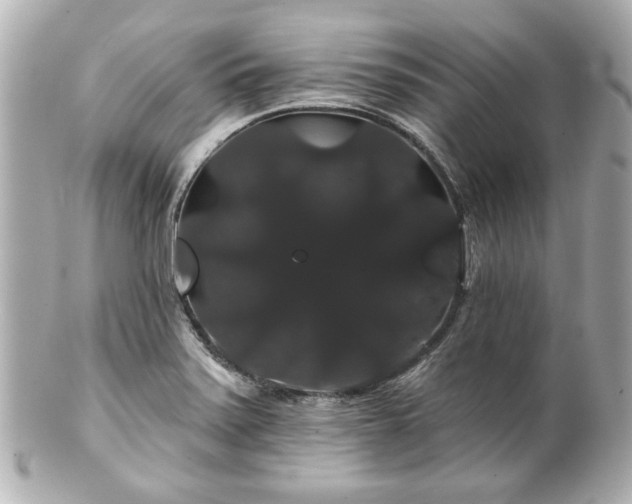 X0000100891371200807011147