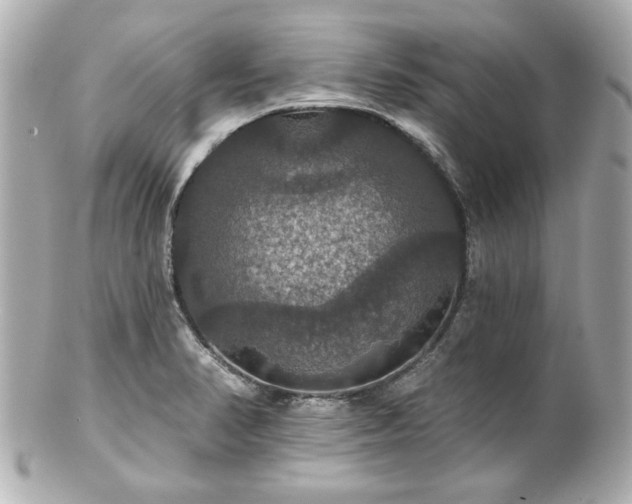 X0000100891374200807011147