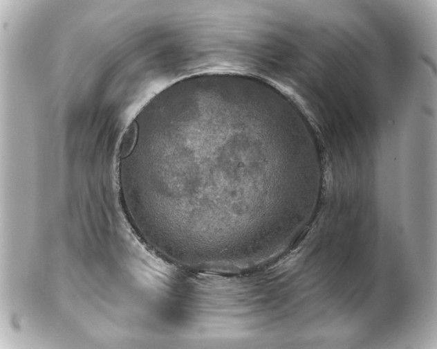 X0000100891375200807011147