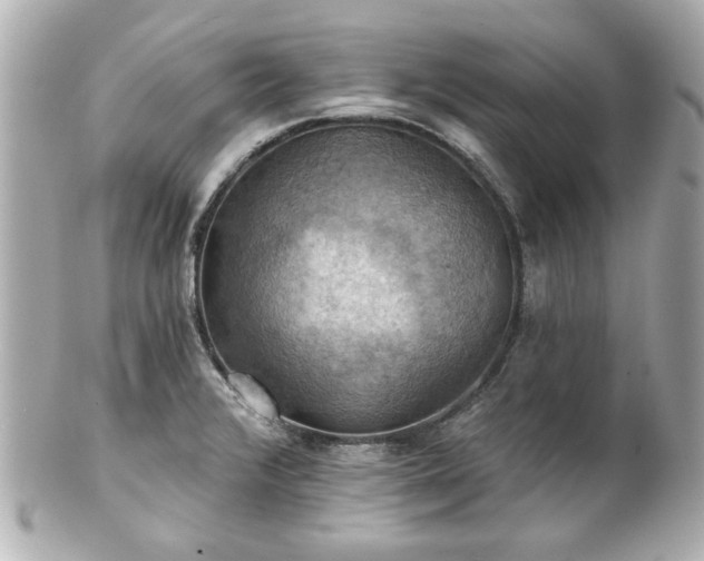 X0000100891376200807011147