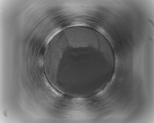 X0000100891377200807011147