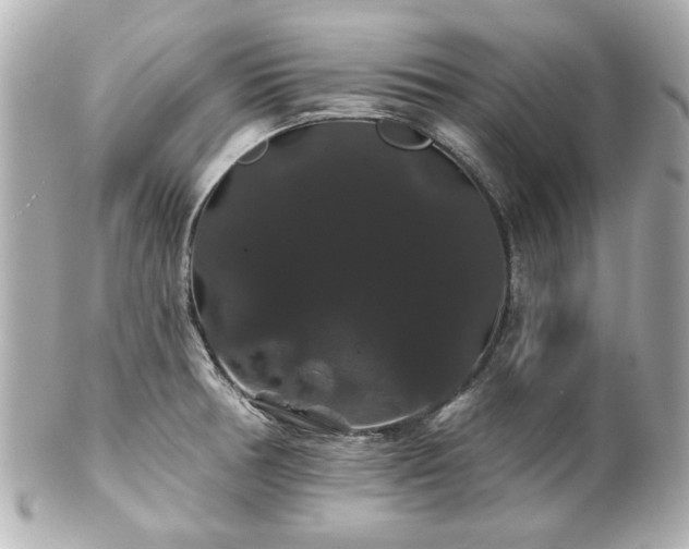 X0000100891378200807011147