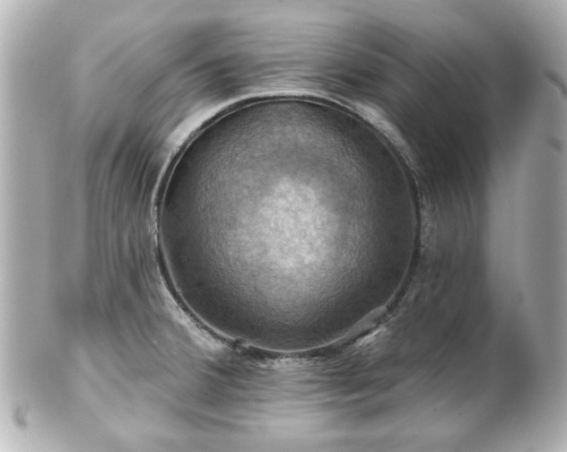 X0000100891380200807011147