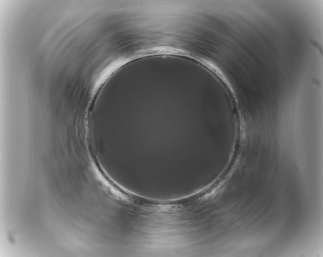X0000100891381200807011147