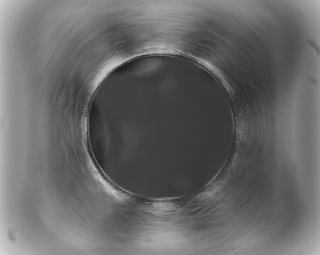 X0000100891383200807011147