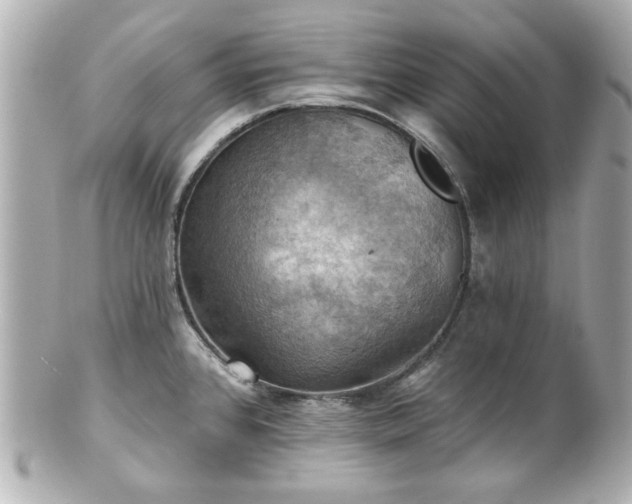 X0000100891384200807011147