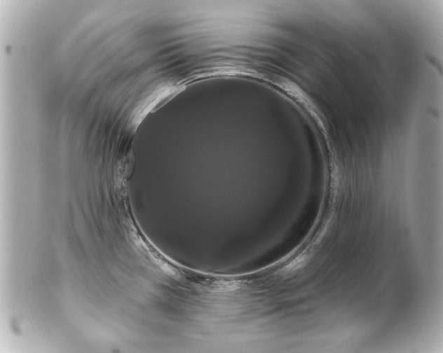 X0000100891385200807011147