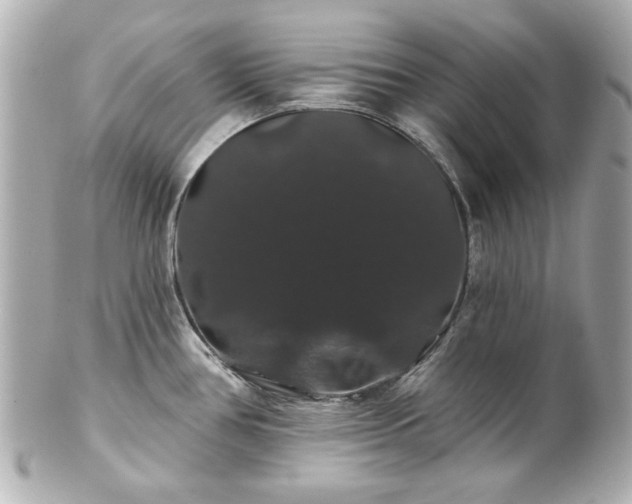 X0000100891386200807011147