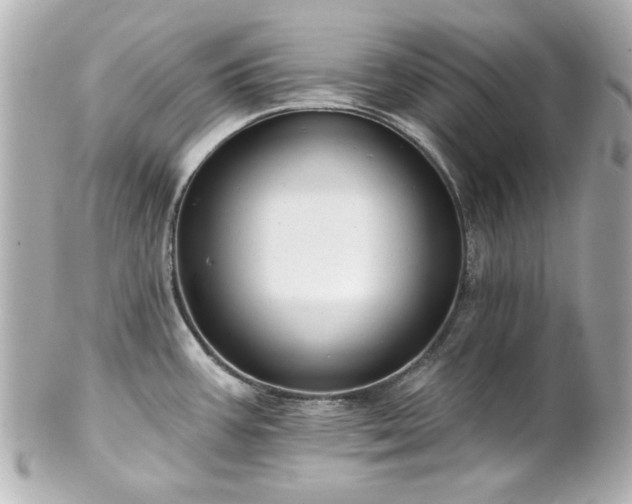 X0000100891387200807011147
