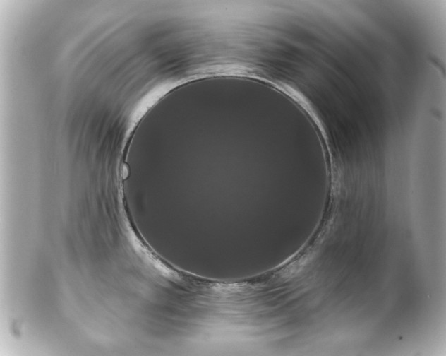 X0000100891389200807011147