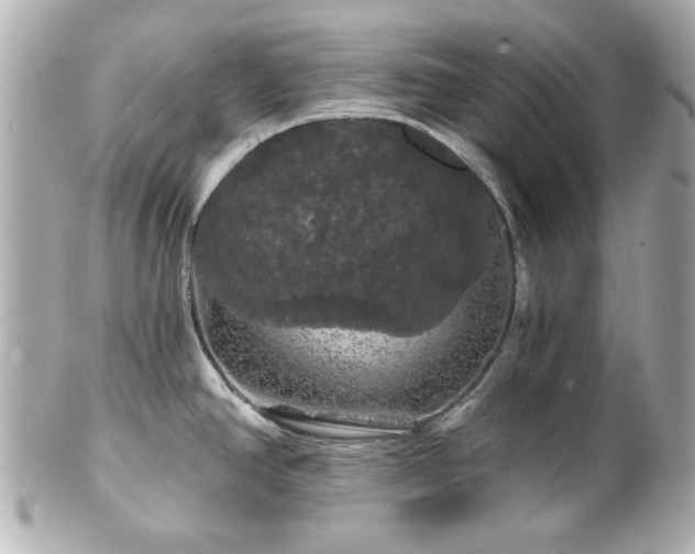 X0000100891390200807011147