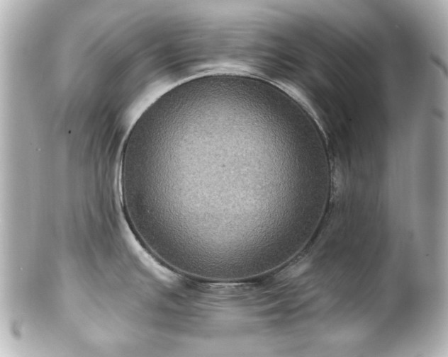 X0000100891391200807011147