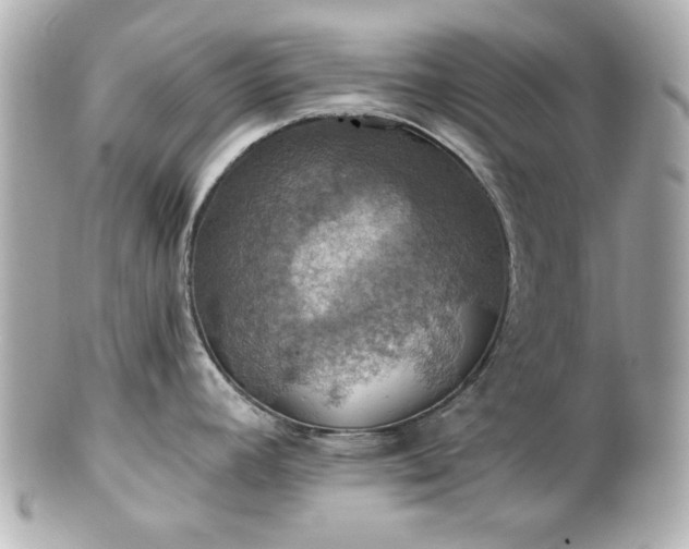 X0000100891392200807011147