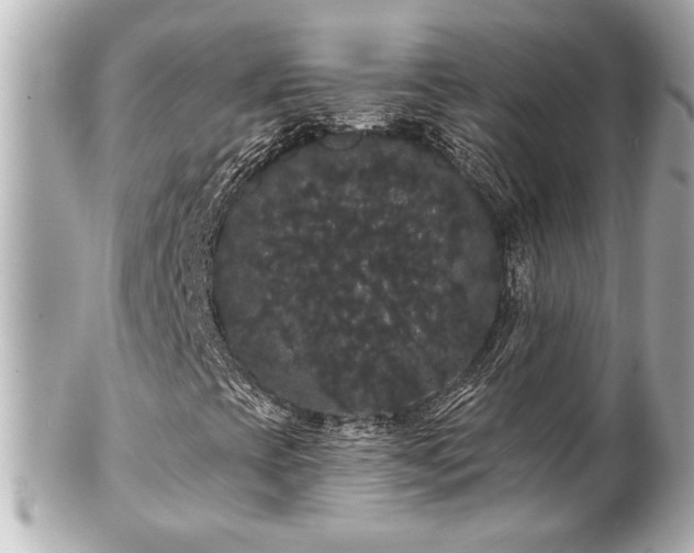 X0000100891393200807011146