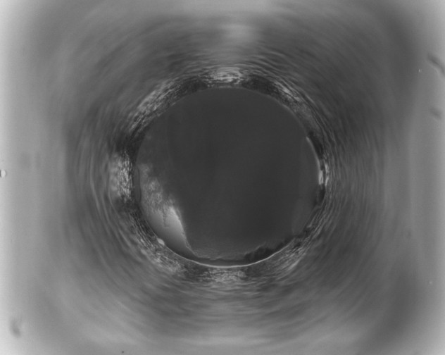 X0000100891394200807011146