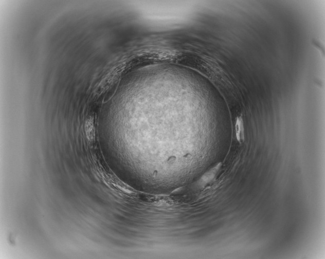 X0000100891395200807011146