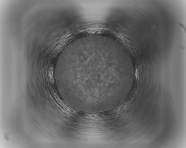 X0000100891396200807011146