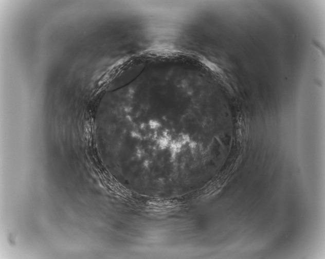 X0000100891397200807011146