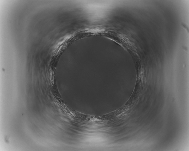 X0000100891398200807011146
