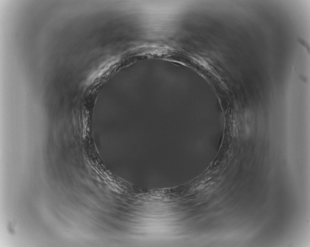 X0000100891399200807011146