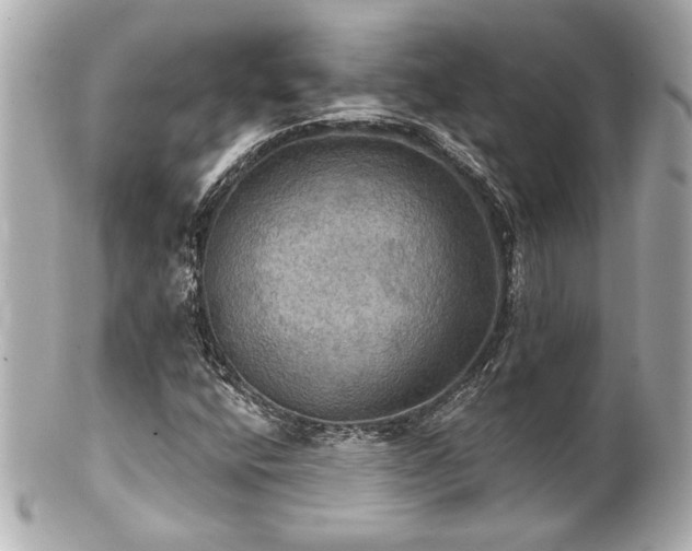 X0000100891400200807011146