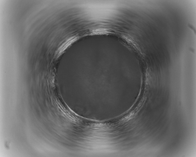 X0000100891401200807011146