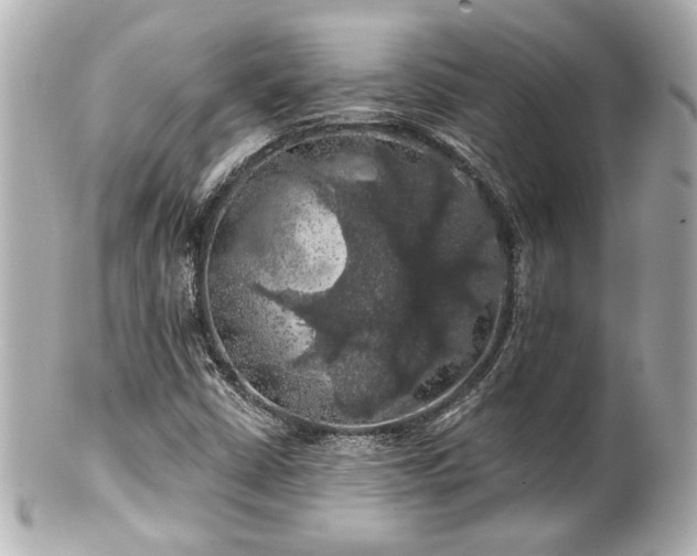X0000100891402200807011146