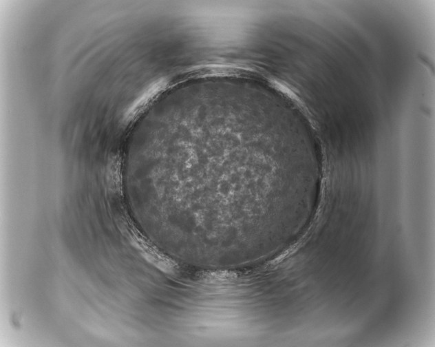 X0000100891403200807011146