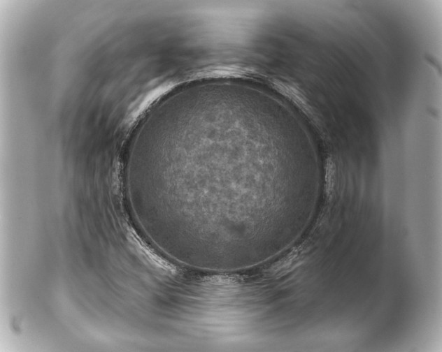 X0000100891404200807011146