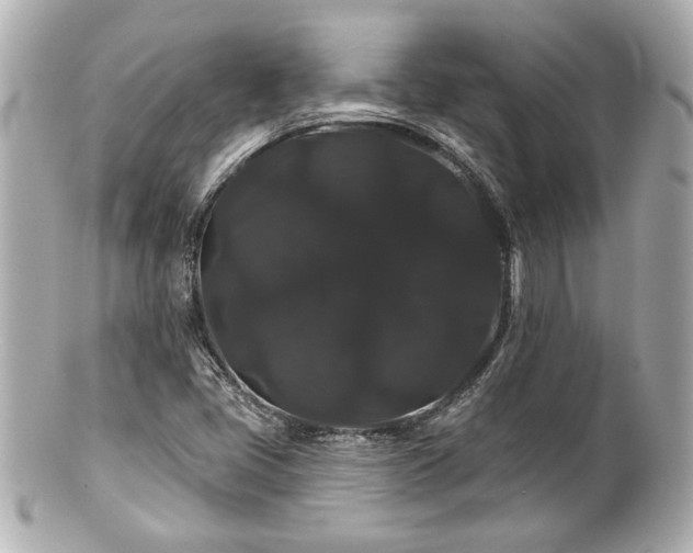 X0000100891405200807011146